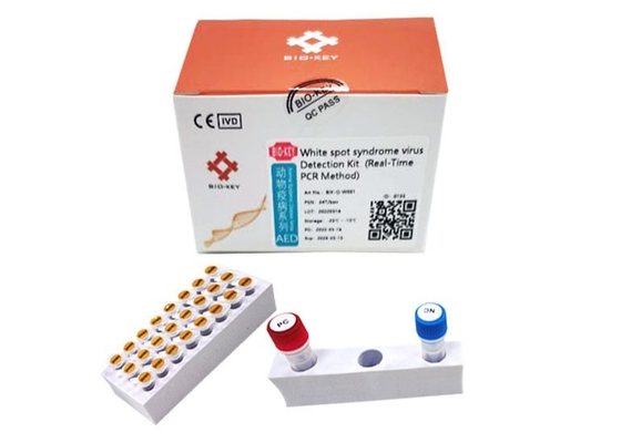 Vannamei gamberetti Sindrome delle macchie bianche Virus WSSV Rapid Test Kit Gamberi Baculovirus PCR Kit