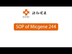 POCT Macchina di PCR quantitativa in tempo reale 2 / 4 canali 24 Dispositivo di diagnosi molecolare