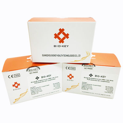 PCR gruppo B Streptococcus GBS STD STI test kit