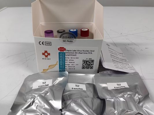Kit di rilevamento dell'acido nucleico del virus del pesce del lago della tilapia in tempo reale PCR liofilizzato