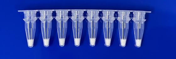 Kit di rilevamento PCR in tempo reale liofilizzato per l'ingrediente suino nel campione alimentare
