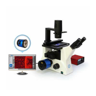 Microscopio biologico invertito B80iF per l'osservazione dei tessuti cellulari