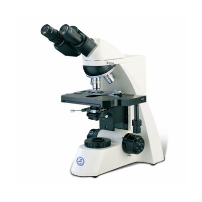 Microscopio verticale di precisione B50 con cilindro a tre occhi