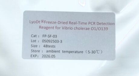 LyoDt® Reagente di rilevamento PCR in tempo reale per il Vibrio cholerae O1/O139 essiccato a congelamento - Non è richiesta una catena a freddo e è pre-distribuito un singolo test