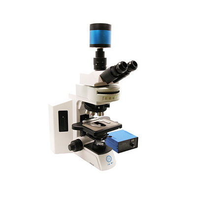 Microscopio biologico fluorescente verticale B60F