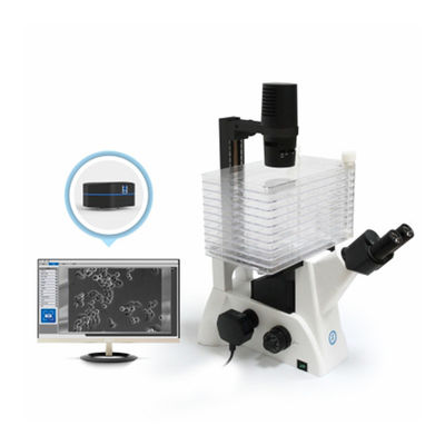 Microscopio biologico invertito B60iL Microscopio speciale per l'osservazione delle fabbriche cellulari