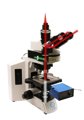 Microscopio verticale di grado di ricerca B80F con sorgente luminosa LED da 12V/3W