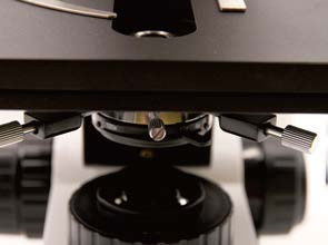 Microscopio biologico verticale B70 con giradischi oggettivi