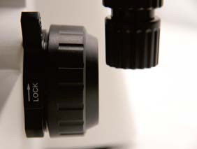 Microscopio biologico verticale B70 con giradischi oggettivi
