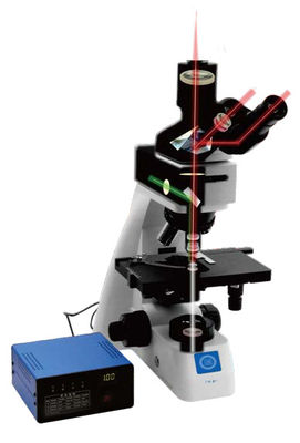 Microscopio biologico verticale B70 con giradischi oggettivi