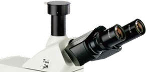 Microscopio biologico fluorescente verticale B60F