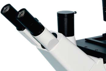 Microscopio biologico inverso a 5 posizioni B50i