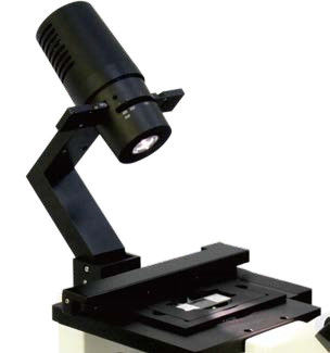 Microscopio biologico invertito B80iF per l'osservazione dei tessuti cellulari