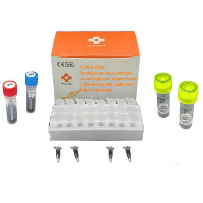 Kit di diagnosi per PCR quantitativa fluorescente Detezione molecolare di agenti patogeni acquatici 48 test/Kit Diagnostica